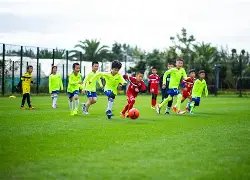 字母哥,夺冠之旅如,婚姻加冕,开云代理官网,开云代理,开云体育,开云全站,开云合作