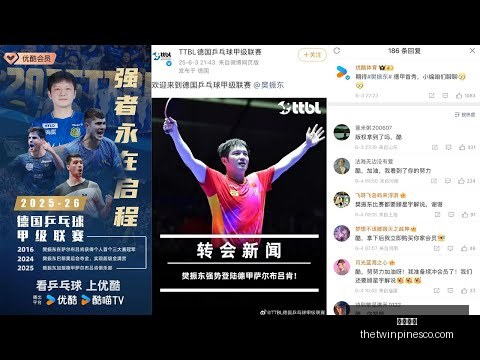 孔塞桑,与葡萄牙孔,蒂不同,开云代理官网,开云代理,开云体育,开云全站,开云合作